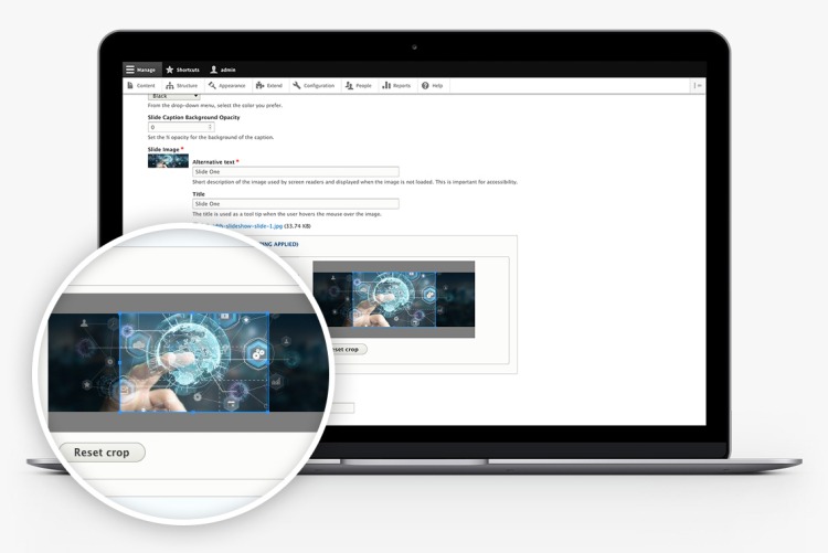 Integrates with the Image Widget Crop