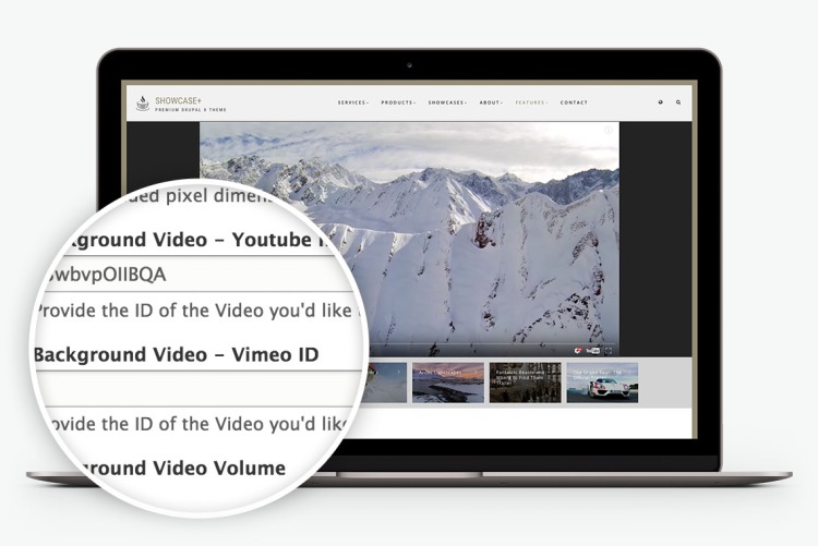 Support for video sliders and video galleries. Everywhere.