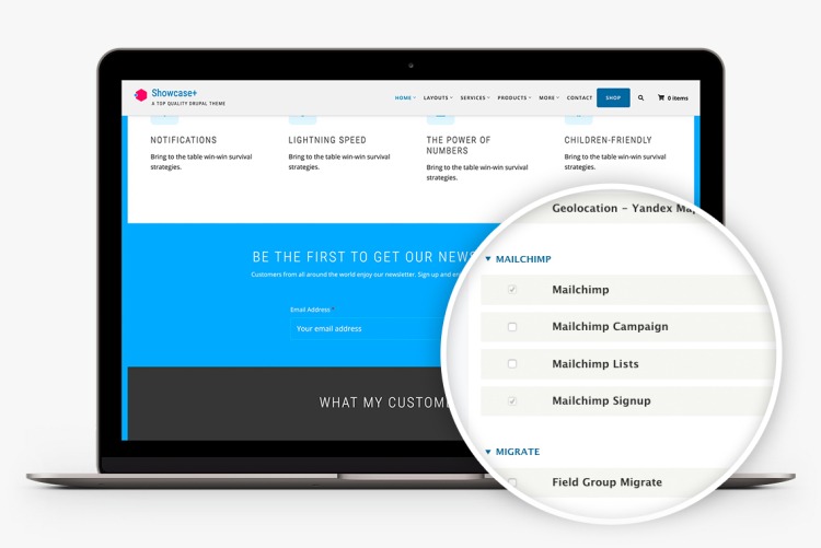 Showcase+ integrates with Mailchimp offering you a great solution for your newsletters